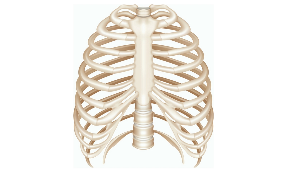 3D Printed Prosthetics: Recreating a Rib Cage