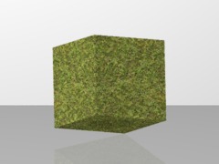 MyCraft Grass