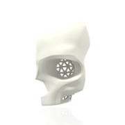 Skull Component 1