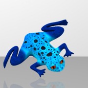 Frog Blue