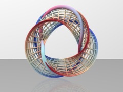 Umbilic_torus2nd_cage_boundary