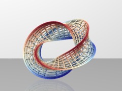 Umbilic_torus2nd_cage