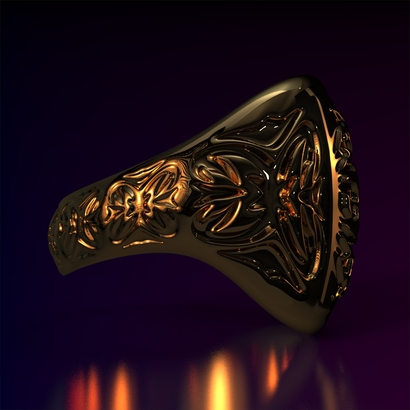 Ring_Osr15Ocam14FR001